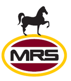 Portfolio item three